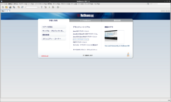 02_Screenshot-NetBeans IDE 7.2.png